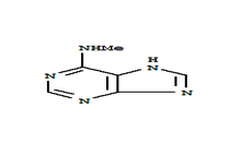 N6-甲基腺嘌呤