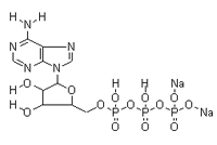 腺苷-5'-三磷酸二钠盐