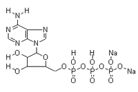 腺苷-5'-三磷酸二钠盐 腺苷-5'-三磷酸二钠盐