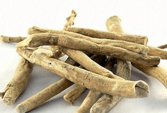 南非醉茄提取物 南非醉茄提取物