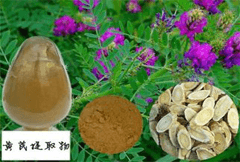 黄芪提取物