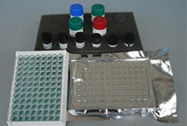 血液DNA试剂盒D33 92