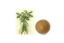 千金子提取物 千金子提取物