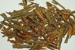 鼠李皮提取物