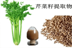 芹菜籽提取物