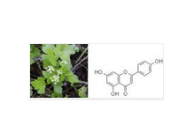 洋甘菊花提取物（芹黄素）