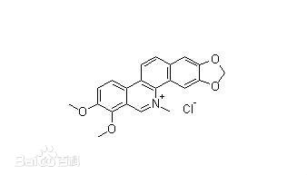白屈菜赤碱 白屈菜赤碱
