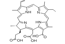 二氢卟吩E6