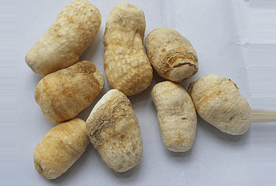 白附子提取物 白附子提取物