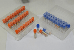 人衔接蛋白酶活化因子1试剂盒 人衔接蛋白酶活化因子1试剂盒