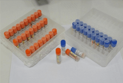 人衔接蛋白酶活化因子1试剂盒