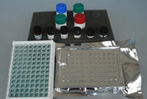 人支原体(mycoplasma)酶联免疫分析（ELISA）