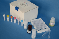 人白细胞介素6（ IL-6 ）试剂盒