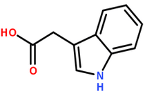 吲哚乙酸