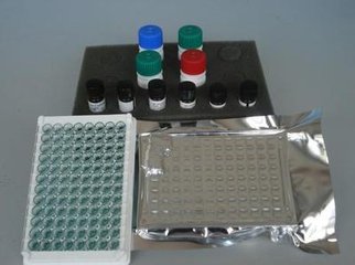 抗肝肾微粒体抗体-3试剂盒