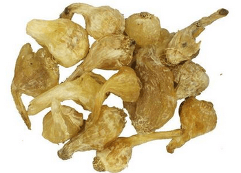 薤白提取物