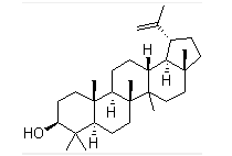 羽扇豆醇