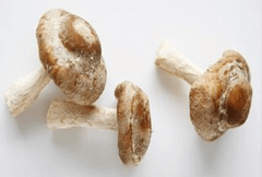 香菇提取物 香菇提取物