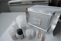 呋喃它酮代谢物酶联免疫(ELISA)快速检测试剂盒