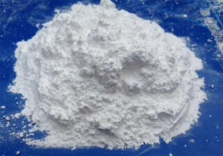 胎盘提取物