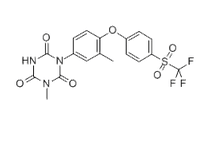 帕托珠利