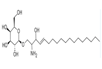 鞘氨醇半乳糖苷