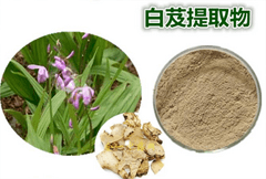 白芨提取物