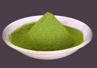 绿色木霉菌 绿色木霉菌